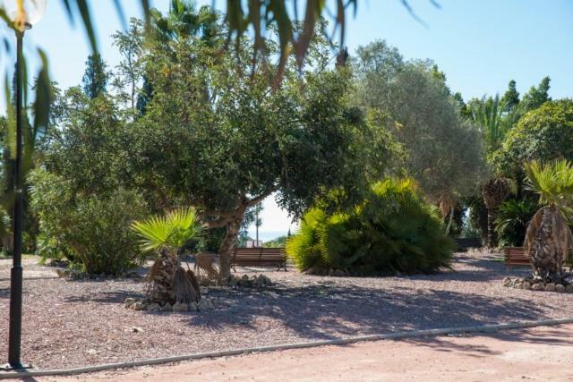 Residencia Marista Santa Maria Del Mar Hotell Guardamar del Segura Exteriör bild