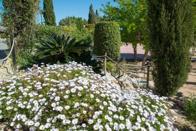 Residencia Marista Santa Maria Del Mar Hotell Guardamar del Segura Exteriör bild